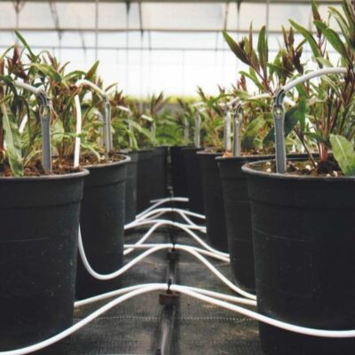 наземное орошение (5) irrigation system used in greenhouse