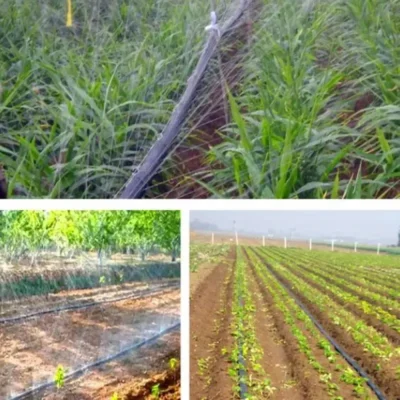 components of drip irrigation system