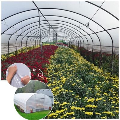 greenhouse for plants vegetables