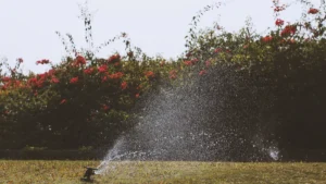 Choosing the Best Lawn Irrigation System for Your Yard