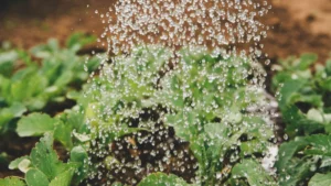 How to Select the Most Efficient Irrigation System for Your Crops