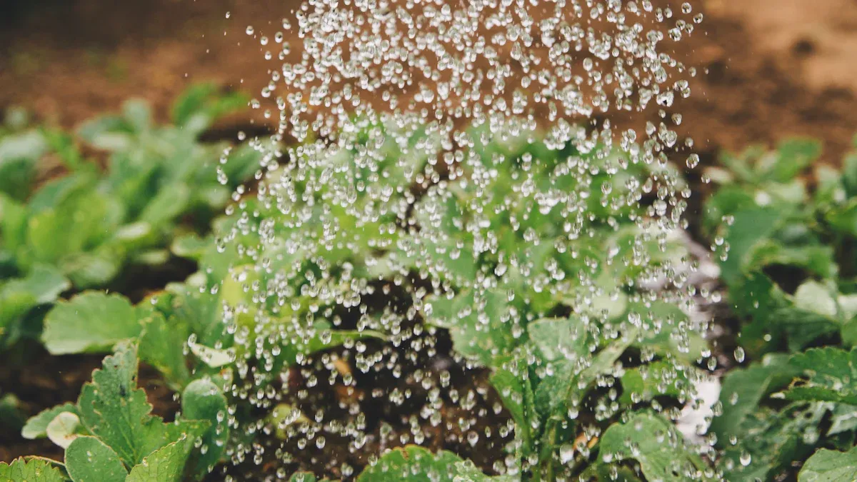 How to Select the Most Efficient Irrigation System for Your Crops