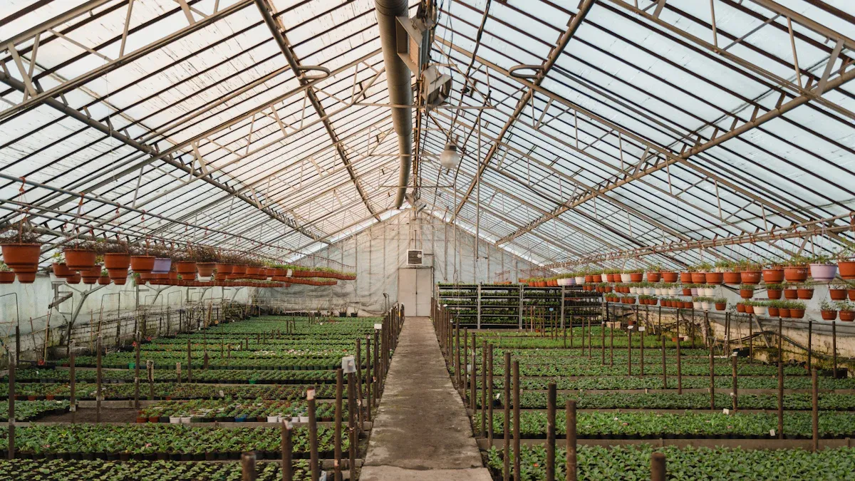 Greenhouse Materials Compared: Durability, Cost, and Light Transmission 3 Detailed Comparison of Greenhouse Materials