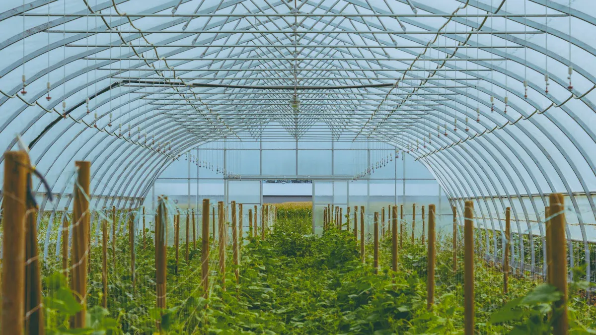 Why Greenhouses Are Key to Organic Farming Success 3 Practical Applications for Organic Farmers