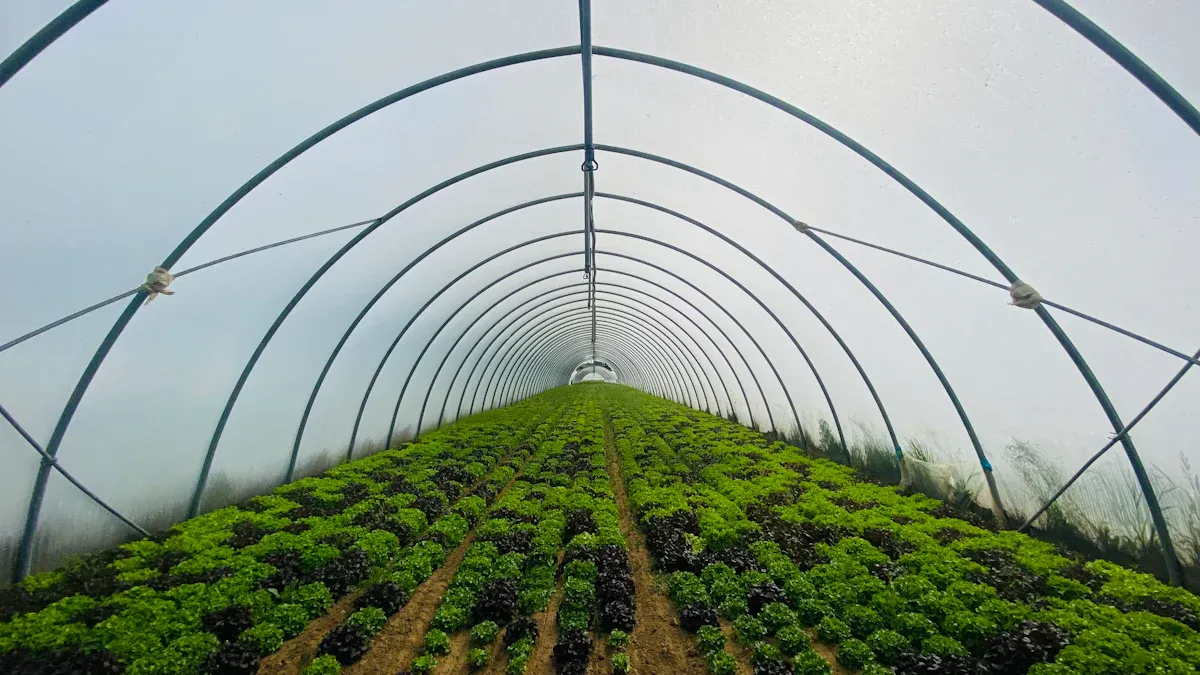 Why Greenhouses Are Key to Organic Farming Success 2 Core Benefits of Greenhouses